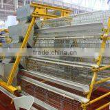 Chicken Cage for Poultry Layer for Nigeria
