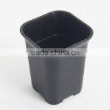 Square Small Black Square Succulent Plants Plastic Flowerpot Seeding Pot thumbnail-2