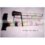 Walking Stick thumbnail-1