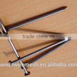 Q215 Building Nails thumbnail-1