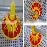 Commercial Cheap Automatic Layer Poultry Farm Equipment for Broilers thumbnail-1