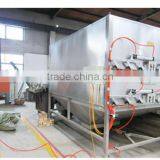 Peanut Sorter /oven/ Grading Line Machiney/machine/peanut/soybean/lentil/cocoa Sorting Baking Line thumbnail-6