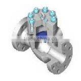 Swing Check Valve thumbnail-1