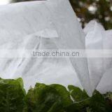 PP Mulch Fleece , Frost Protection Fleece (50g/m2) thumbnail-4