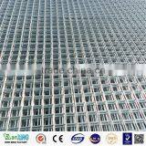 Welded Wire Mesh/galvanized Welded Mesh/Plaster Welded Wire Mesh thumbnail-6