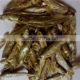 Microwave Dried Fish for Pet (turtle;lizard);Factory Price Dried Fish thumbnail-6