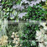 SJLJ013321 Artificial Grass Wall / Plastic Green Wall / Fake Plant Wall for Wall Decoration thumbnail-6