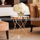 Cooper Metal Stainless Steel Frame With Glass-top Round End Table for the Living Room