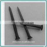 Three Star Blue Shoe Tacks/Cheap Shoe Tack Nails thumbnail-5