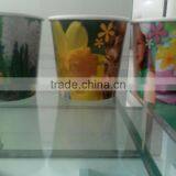 Paper Cup Planting ,seedling Paper Nursery. thumbnail-1