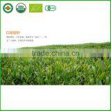 USFDA Certificated Yunnan Premium White Tea Silver Needle White Tea thumbnail-6