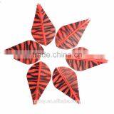 Blazer Vanes Archery TPU Rubber Vanes thumbnail-2