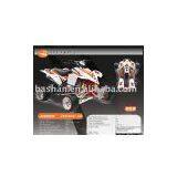 JX250S-2A ATV thumbnail-1