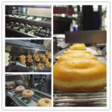 Mini Doughnut Production Line-yufeng