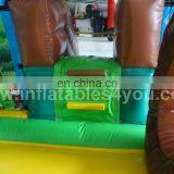 Colorful Zoology Theme Inflatable Combo for Sale thumbnail-4