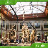 KAWAH OEM Factory Custom Realistic Dinosaur Animal Skeleton for Sale thumbnail-6