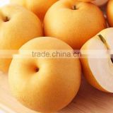best fresh Singo pear export to Mexico
