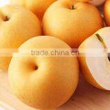 Chinese Fresh Shingo Pear to USA thumbnail-3