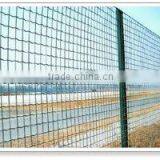 Factory Supply Hot Sale Square Wire Mesh