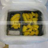 Fresh Frozen Durian thumbnail-3