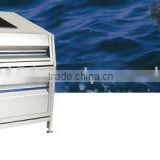 Fish Processing ( Scaling, Cleaning, Grading, Filleting ) Machine