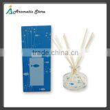 Decorative 120ml Household Glass Reed Diffuser