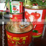 USD7.7/carton FOB Tomato Paste,main Market for Middle East,west Africa thumbnail-4