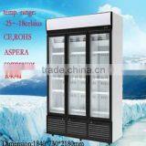 1260L Upright Frozen Display