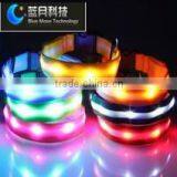 New Design Wholesale led lighting Dog Collar