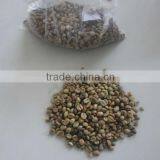 Coffee Beans S18 thumbnail-3