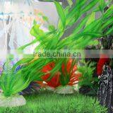 Colorful Aquairum Mini Plant Aquarium Plant Seeds thumbnail-1