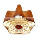 Interior Decoration Lighting Led Wooden Home Ceiling Lamp,Led Wooden Home Ceiling Lamp,Home Ceiling Lamp C1009-50 Supplier's Choice