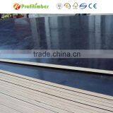 Building Construction Materials Concrete Shuttering Panel for Sale thumbnail-3