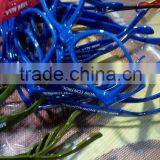 Classic Colors Bold Leg Vogue Sunglasses 2015 thumbnail-6