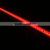 Led Strip 5050warm White /cold White/ Blue Color With Plastic Cover Led Lamp Wholesale CE&RoHS thumbnail-4