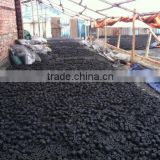 export coconut charcoal in Viet Nam