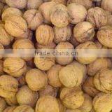 Fresh Sweet Walnut 2012 the Lastest Price
