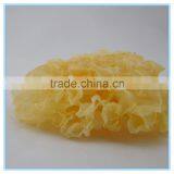 Wholesale Dried Tremella Fuciformis White Fungus thumbnail-4