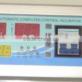 Digital Incubator Thermometer