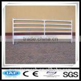 High Quality of the Canada 5-rail Horse Fence thumbnail-2