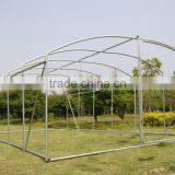 Gazebo Greenhouse / Poly Tunnel Greenhouse With Opened Door6*3.5*1.95m thumbnail-1