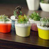 New design ship shape colorful ceramic flower pots for livingroom