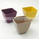 Ecofriendly Biodegaradable Plant Pot thumbnail-6