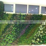 Artificial Green Wall for Gymnasium thumbnail-4