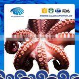 Hot Sale High Quality Frozen Good Octopus on Sale Price thumbnail-1