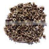 Moringa Olifera Seeds thumbnail-2