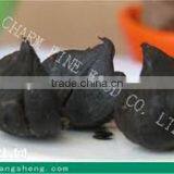 Factary Make Free Sample For Peeled Solo Black Garlic On Sale thumbnail-1