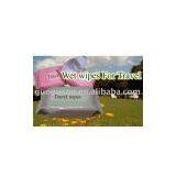 Travel Wipes thumbnail-1