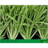 Synthetic Turf for Football Price Artificial Grass Prices Football