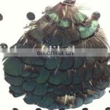 party carnival feather hair clip decoration MFC-012